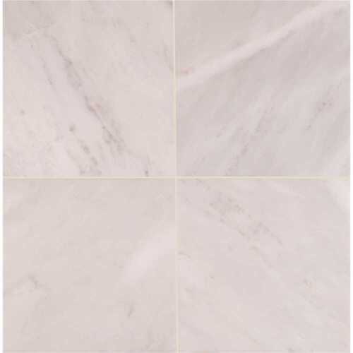 MS International, Inc TARACAR1212H Greecian White 12 in. x 12 in. Honed Marble Floor and Wall Tile (5 sq. ft./case)