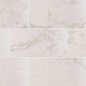 MSI Praia Carrara 24 in. x 48 in. Polished Porcelain Floor and Wall Tile (7 cases/112 sq. ft./pallet) MSI Praia Carrara 24 in. x 48 in. Polished Porcelain Floor and Wall Tile (7 cases/112 sq. ft./pallet)