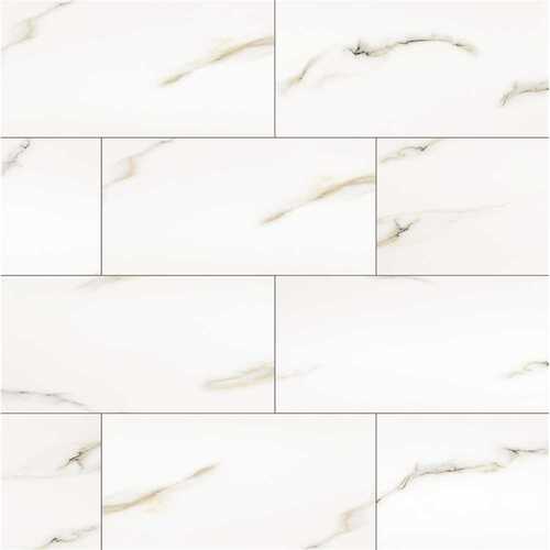 Aria Bianco 12 in. x 24 in. Polished Porcelain Floor and Wall Tile (16 sq. ft. / case) - pack of 8