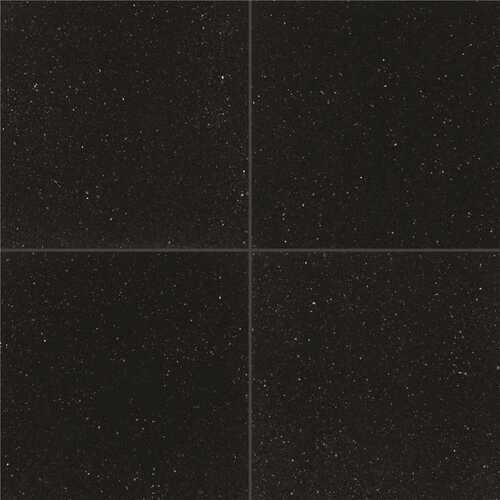 Black Galaxy 18 in. x 18 in. Polished Granite Stone Look Floor and Wall Tile (9 sq. ft./Case) - pack of 4