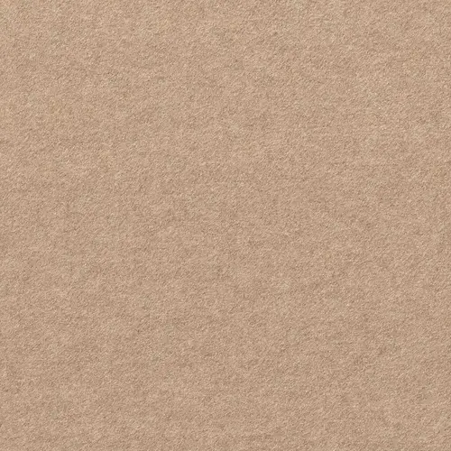 First Impressions Beige Commercial 24 in. x 24 Peel and Stick Carpet Tile (15 Tiles/Case) 60 sq. ft Taupe - pack of 15