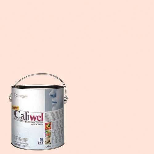 1 gal. Pink Latex Interior Paint