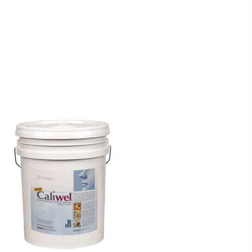 CALIWEL 850856G 5 gal. Guard White Latex Interior Paint