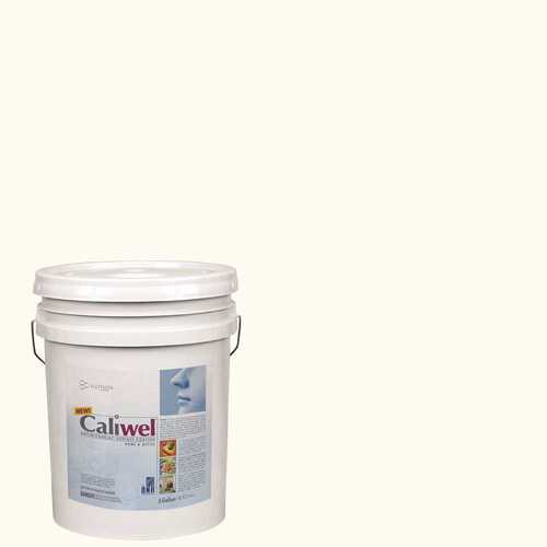 CALIWEL 850856Q 5 gal. Off White Latex Interior Paint