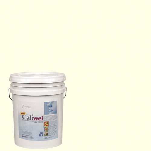 CALIWEL 850856N 5 gal. Creme Latex Interior Paint