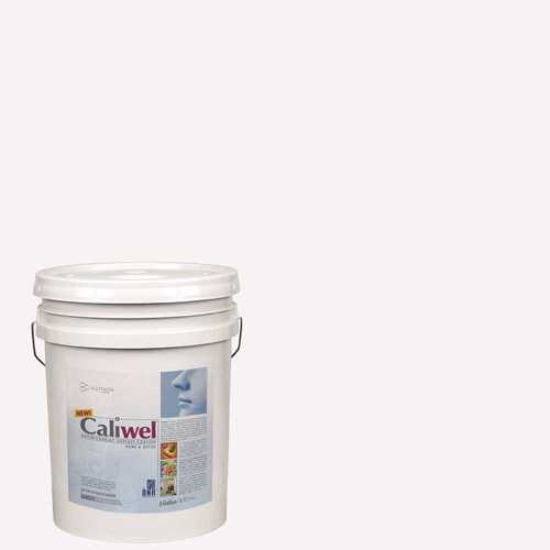 CALIWEL 850856P 5 gal. Gray Latex Interior Paint