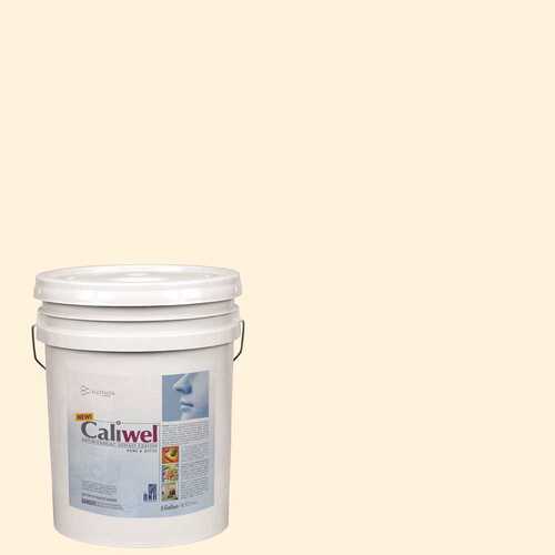 CALIWEL 850856R 5 gal. Beige Latex Interior Paint