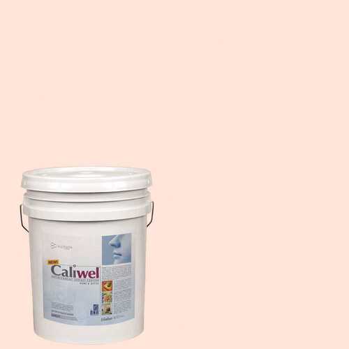 CALIWEL 850856S 5 gal. Pink Latex Interior Paint