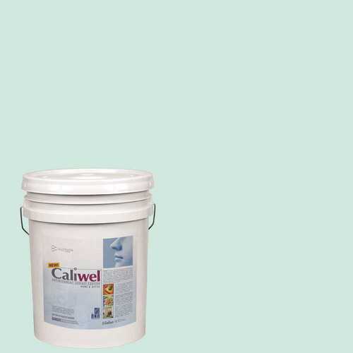 CALIWEL 850856T 5 gal. Green Latex Interior Paint