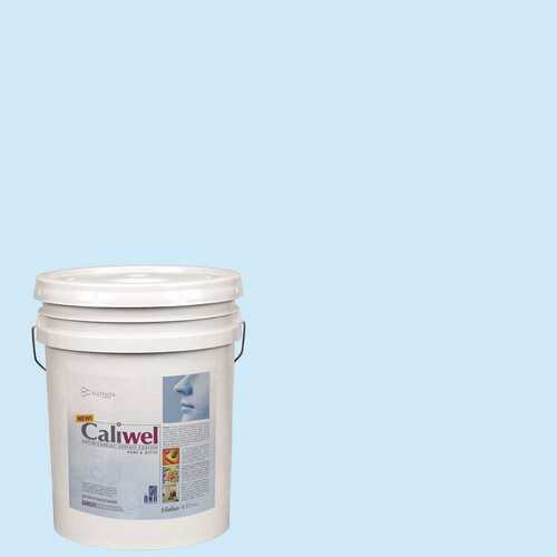 CALIWEL 850856U 5 gal. Latex Interior Paint Blue