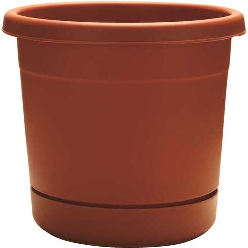 ROLLEDRIMPLANTER, TERRACOTTA - pack of 6