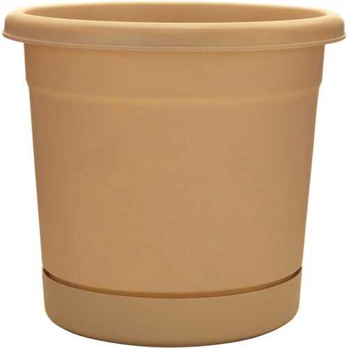 ROLLEDRIMPLANTER, OXFORDTAN - pack of 6