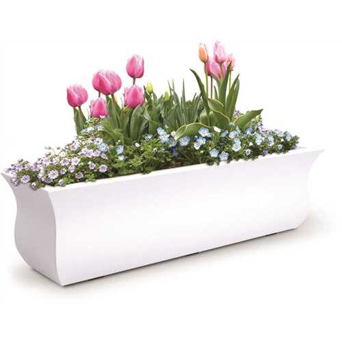 Valencia 36 in. x 10 in. White Polyethylene Window Box