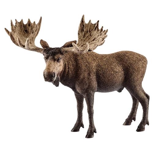 Schleich-S 14781 Brown Bull Moose Toy Animal Figure, Ages 3 & Up