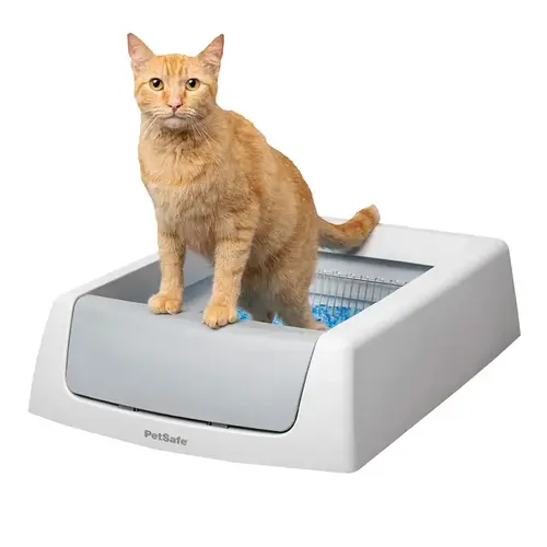 ScoopFree Litter Box, 20.4 in W, 29 in D, Plastic