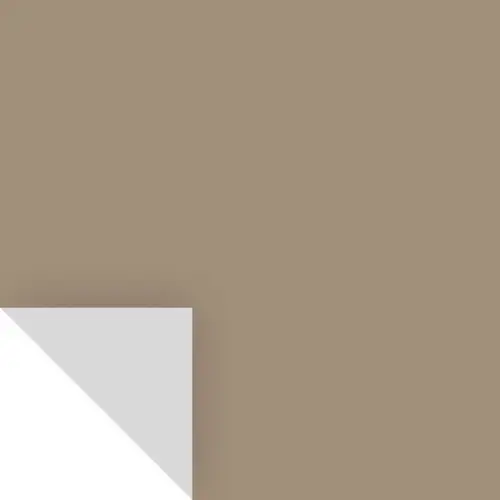 Samplize BMHC77 Peel & Stick Color Sample Benjamin Moore Alexandria Beige HC-77 Alexandria Beige