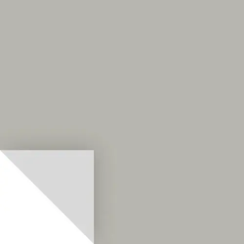 Samplize BM213750-XCP8 Peel & Stick Color Sample Benjamin Moore Sea Haze 2137-50 Sea Haze - pack of 8