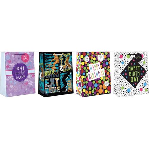 Paper Images EGBT3A-2 Gift Bag Assorted Large Tween Birthday Assorted