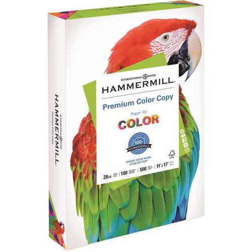 11 in. x 17 in. Color Copy Paper 100 Brightness 28 lbs. Photo, White (500/Ream)