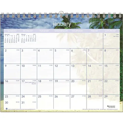 AT-A-GLANCE 10160371 TROPICAL ESCAPE MONTHLY WALL CALENDAR, 15 IN. X 12 IN., 2013