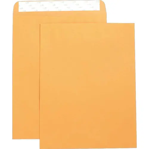 S.P. Richards Co. 2494747 CATALOG ENVELOPES, SELF SEAL, PLAIN, 10 IN. X 13 IN., , KRAFT