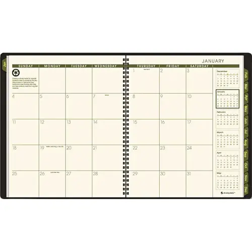 AT-A-GLANCE 10141555 RECYCLED MONTHLY PROFESSIONAL PLANNER, 13 MONTHS (JAN-JAN), GREEN COVER