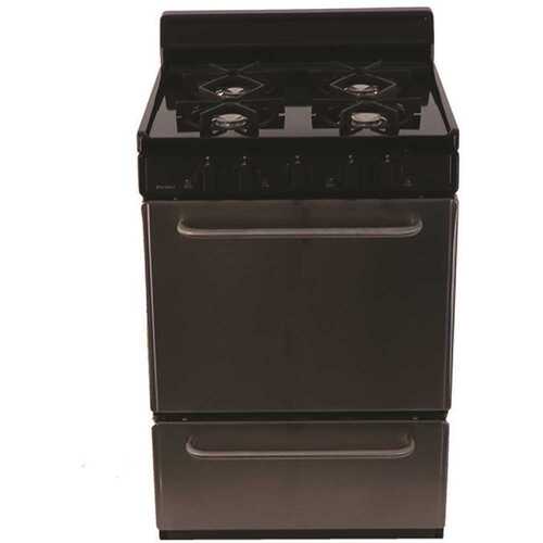 24 in. 2.97 cu. ft. Gas Range in Stainless Steel