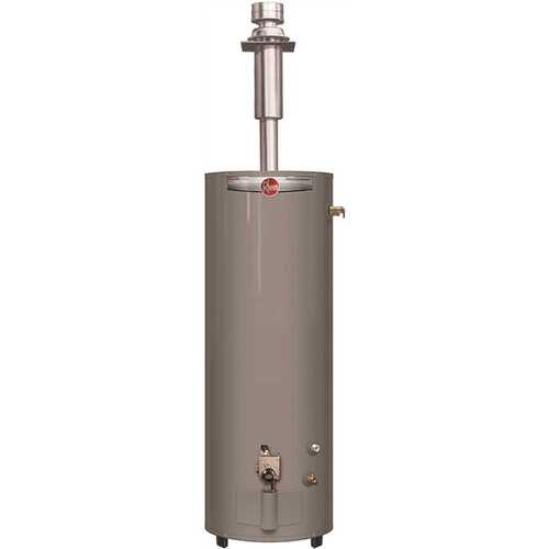 Professional Classic Mobile Home 40 Gal. Convertible Residential Natural Gas/Liquid Propane Direct Vent Water Heater