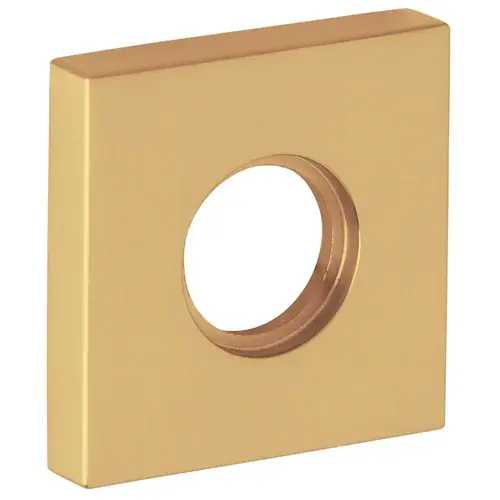 Single 2" Square Passage Rose Vintage Brass Finish