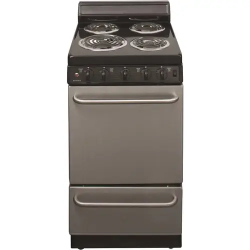 20 in. 2.42 cu. ft. Electric Range in Stainless Steel