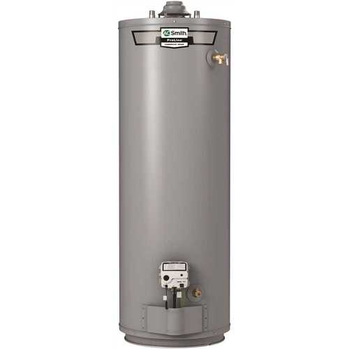 AO Smith 100290905 Atmospheric Vent 40-Gal Tall Natural Gas-Water Heater