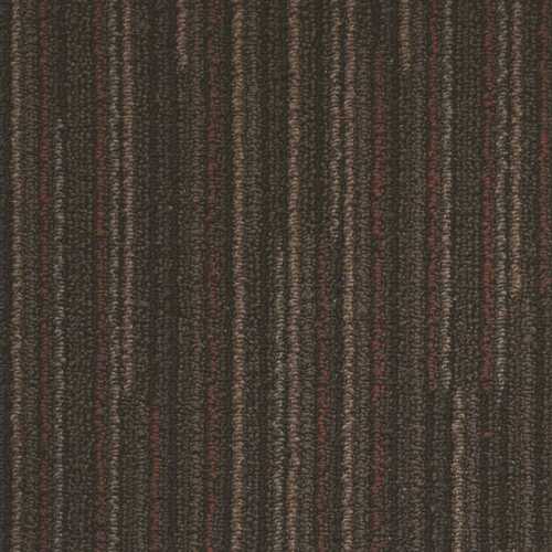 KRAUSE INDUSTRIES INC. 728208 TrafficMaster Montesa Brown Residential/Commercial 19.7 in. x 19.7 Glue-Down Carpet Tile (20 Tiles/Case) 54 sq. ft