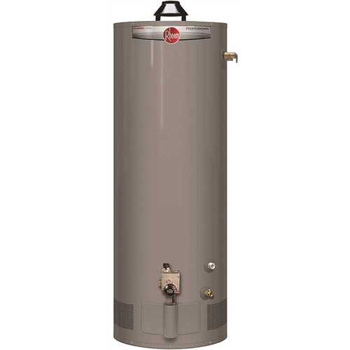 Professional Classic Mobile Home 40 Gal. Tall Residential 6-Year 34,000 BTU Convertible Natural Gas/LP Water Heater