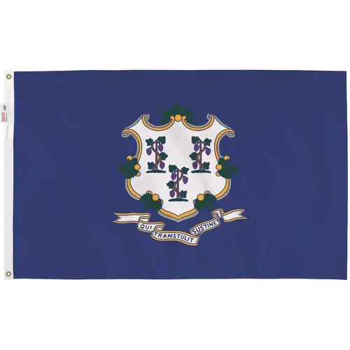 3 ft. x 5 ft. Nylon Connecticut State Flag