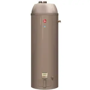 Rheem PROG50-40N RH67 PDV 50 40,000 BTU Professional Classic