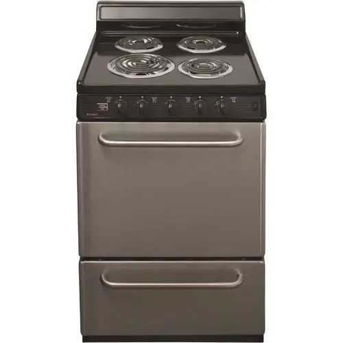 24 in. 2.97 cu. ft. Electric Range in Stainless Steel