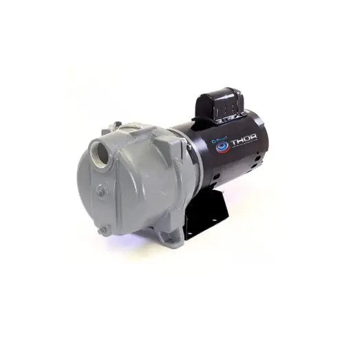 PD WATER SYSTEMS LLC THOR15F16S Thor Centrifugal Water Pump 1.5hp 115/230v