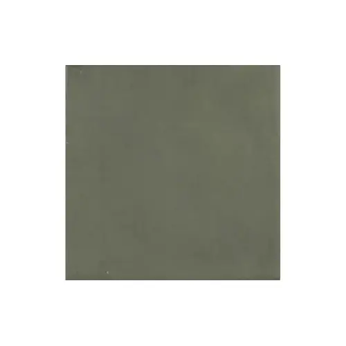 Pera Tile CON-FOREST PLAIN MATTE 6" X 6" Contemporary Porcelain Tile Forest Matte Green