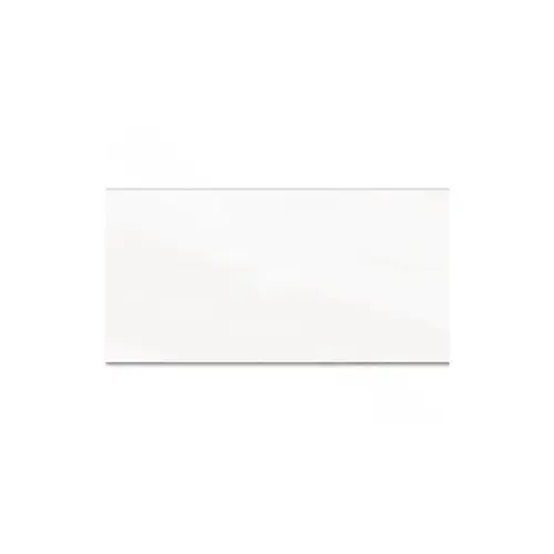 Pera Tile DOL-WHITE POLISHED 12"  24" Dolomite Porcelain White