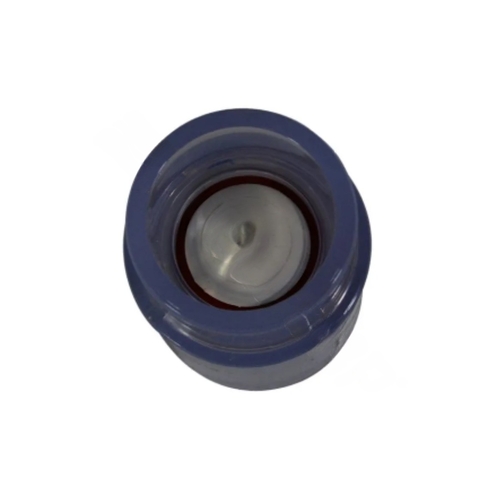 Clear Spa Check Valve