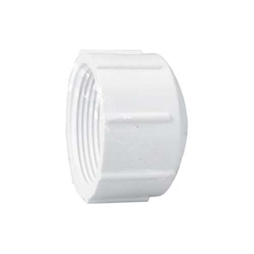 448-025  2.5"fpt Sch40 Pvc Cap White