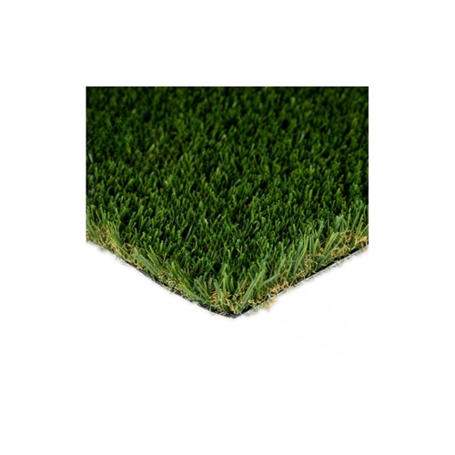 55oz Playground Fescue