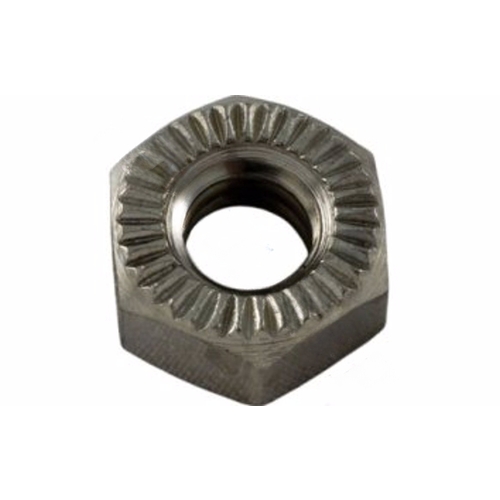 .25"-20 Ss Hex Nut Brass Plated