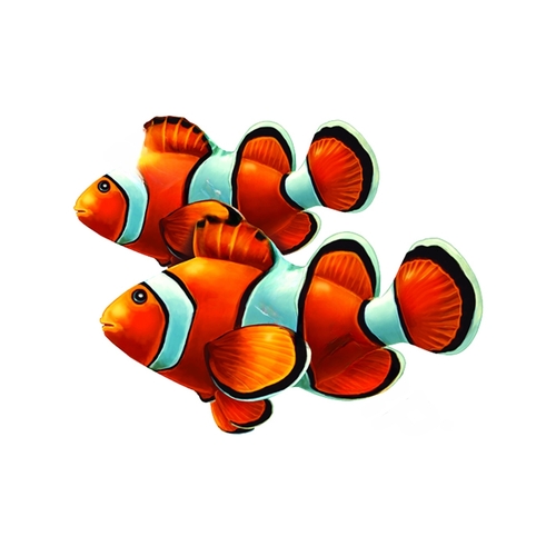 8" X7" Clown Fish Double Porc