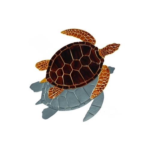 6" X 6" Brown Sea Turtle W/ Shadow