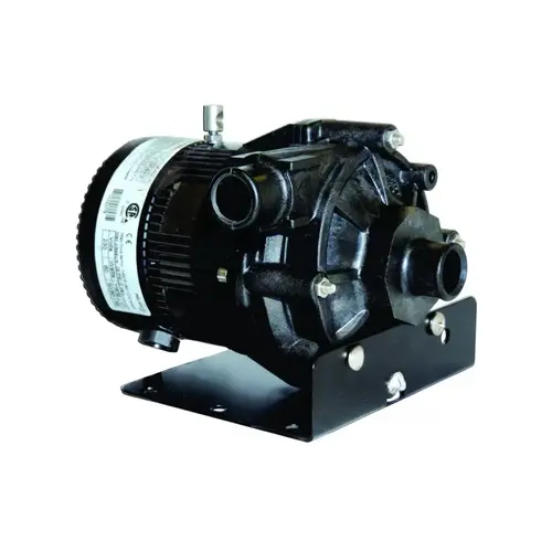 10-0121m 230v .75" Barb Sundance E10 Pump W/ 4' Cord