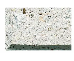 Artistic Pavers SLPI16-XCP160 Ivory Shellock Pavers 16x16
