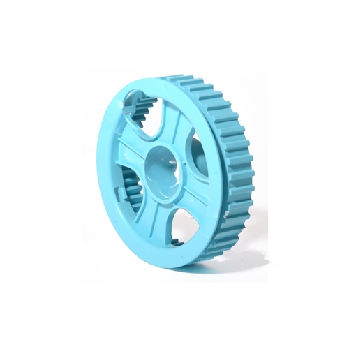 Dolphin Front Wheel Blue