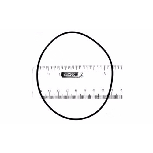 Back-up Valve Oring