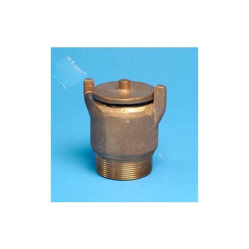 2" Brass Hydrostatic Relief Valve